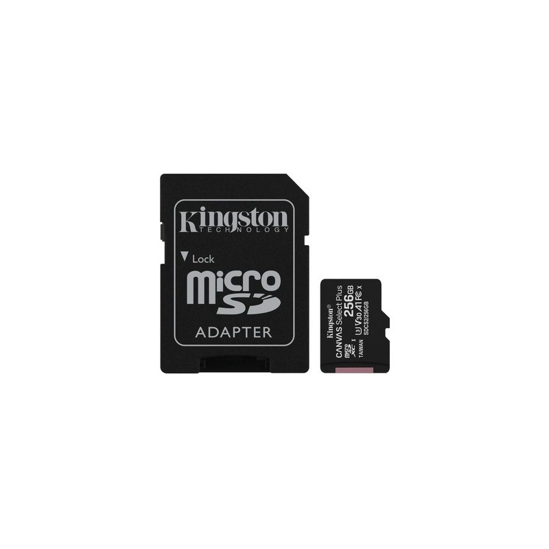 Kingston Technology Canvas Select Scheda micSDXC Plus 100R A1 C10 da 256GB + adattatore