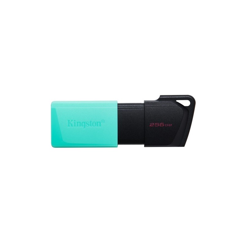 Kingston Technology DataTraveler 256GB USB3.2 Gen1 Exodia M (Nero + Verde ottanio)