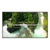 LG 75UL3Q-E visualizzatore di messaggi Pannello piatto per segnaletica digitale 190,5 cm (75") LED Wi-Fi 350 cd/m² 4K Ultra H