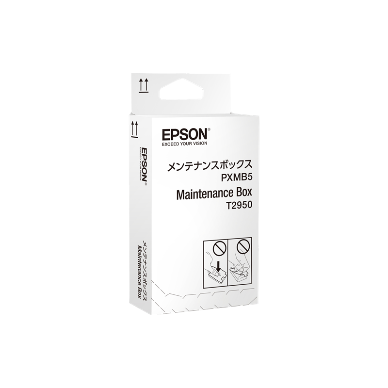 Epson WorkForce WF-100W Series Maintenance Box