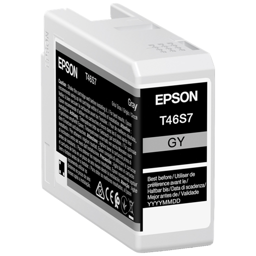 Epson UltraChrome Pro cartuccia d'inchiostro 1 pz Originale Grigio